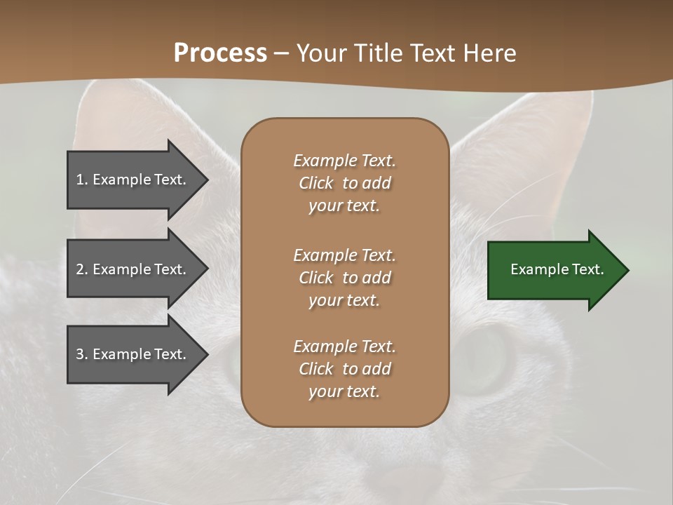 Ears Eyes Nature PowerPoint Template