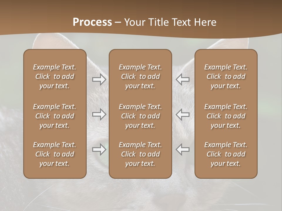 Ears Eyes Nature PowerPoint Template