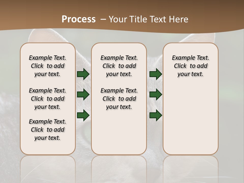 Ears Eyes Nature PowerPoint Template