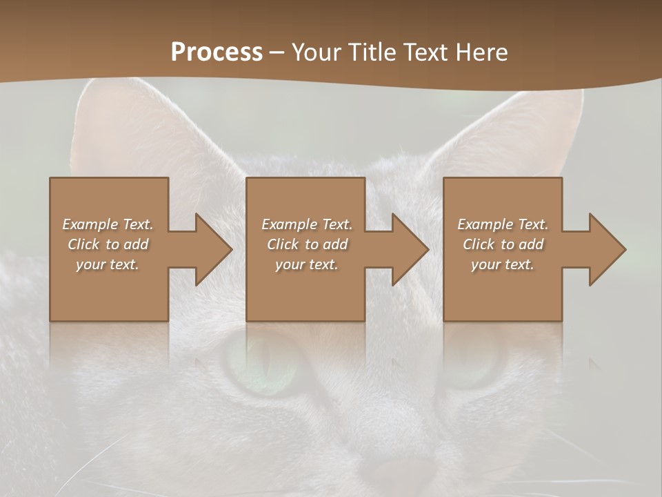 Ears Eyes Nature PowerPoint Template