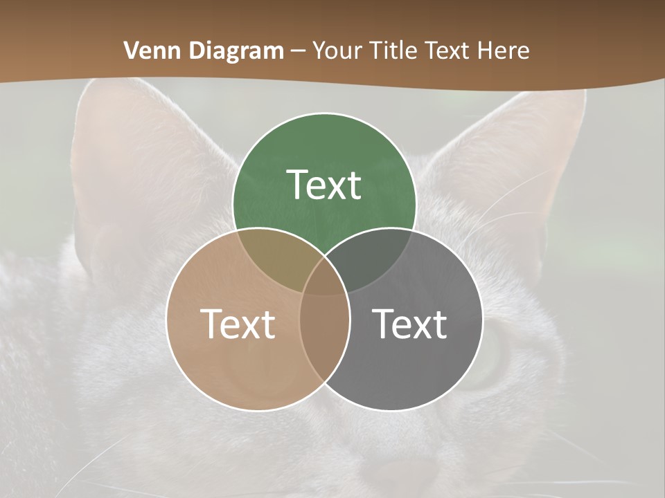 Ears Eyes Nature PowerPoint Template