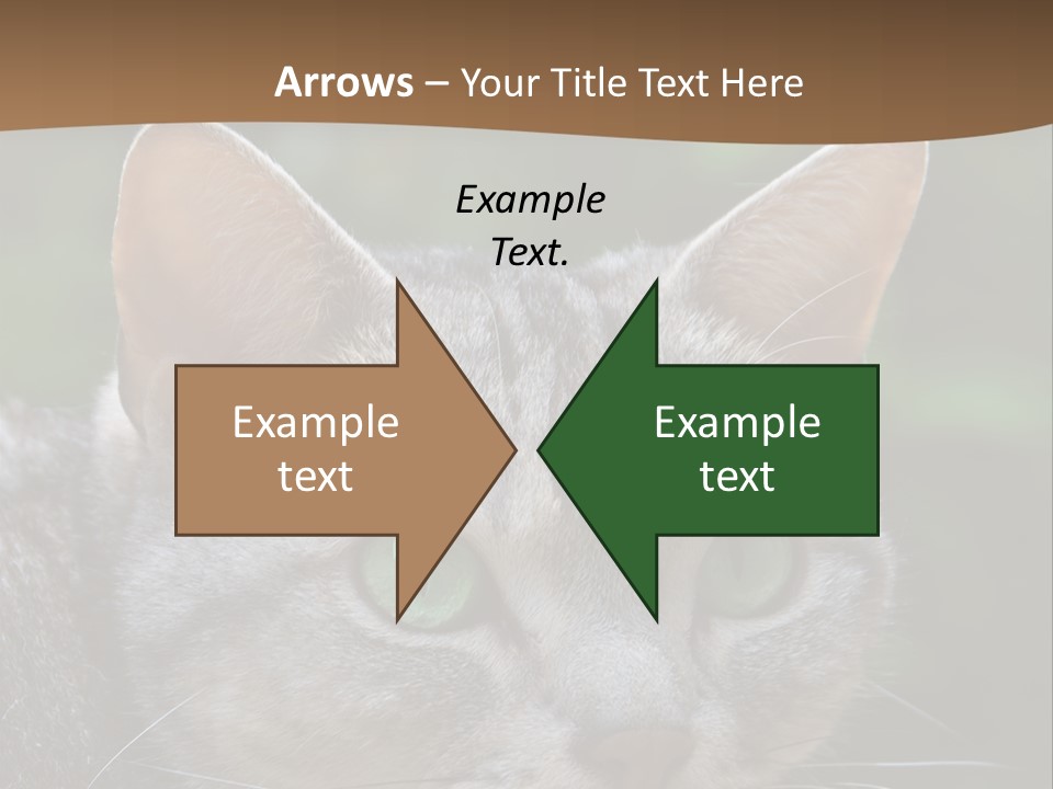 Ears Eyes Nature PowerPoint Template