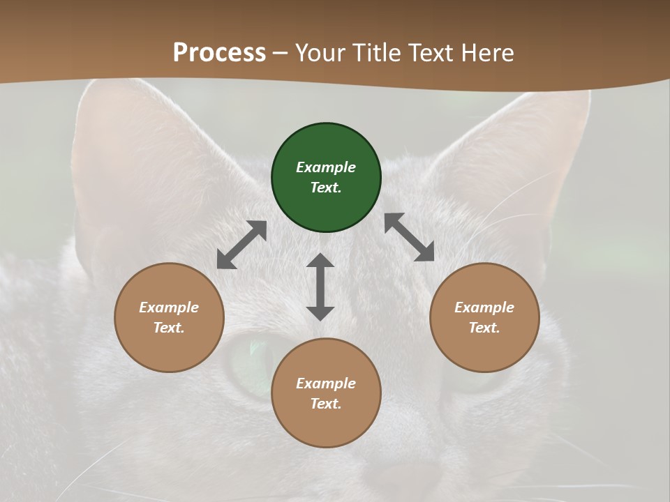 Ears Eyes Nature PowerPoint Template