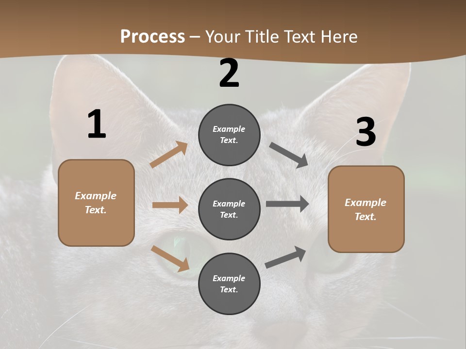 Ears Eyes Nature PowerPoint Template