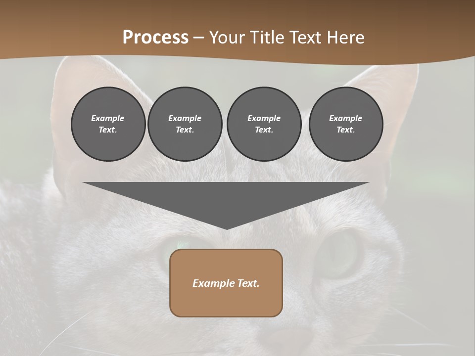 Ears Eyes Nature PowerPoint Template