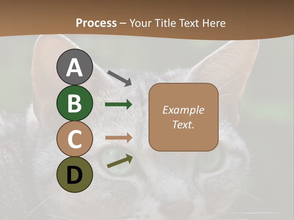 Ears Eyes Nature PowerPoint Template