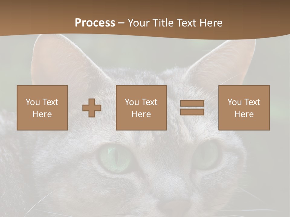 Ears Eyes Nature PowerPoint Template