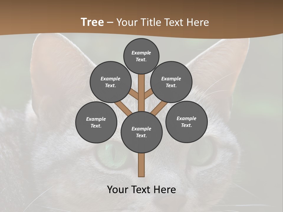Ears Eyes Nature PowerPoint Template