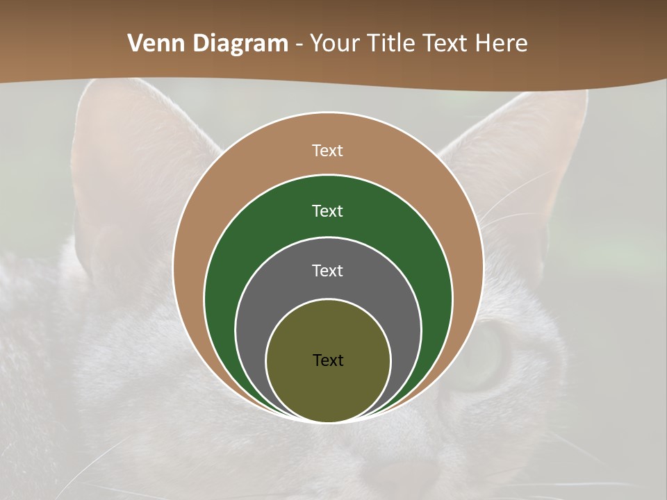 Ears Eyes Nature PowerPoint Template