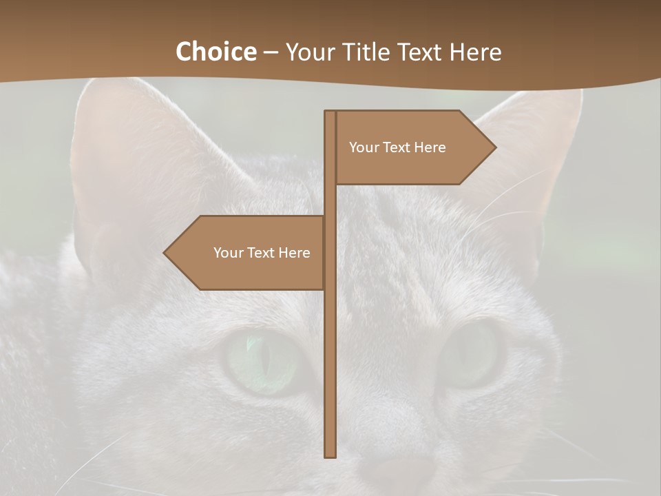 Ears Eyes Nature PowerPoint Template