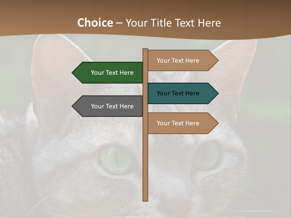 Ears Eyes Nature PowerPoint Template