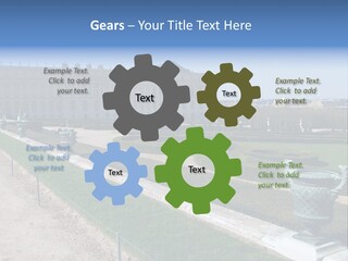 Royalty Majestic Provincial PowerPoint Template