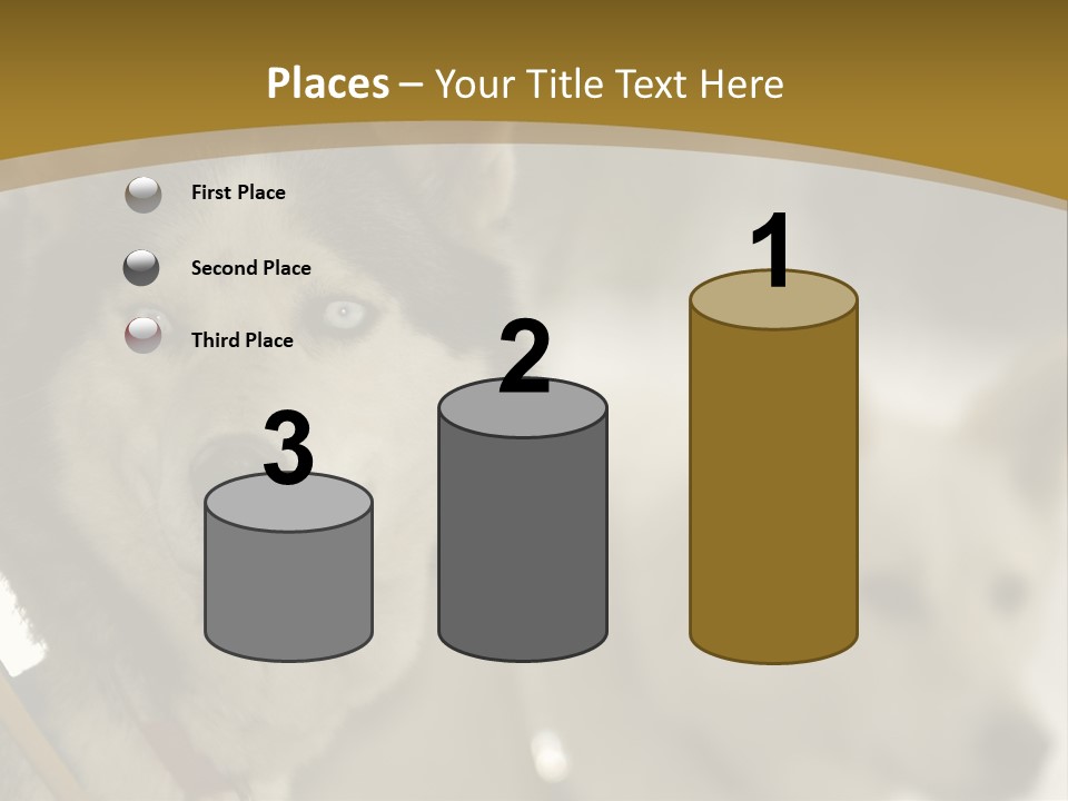 Performance Husky Fur PowerPoint Template