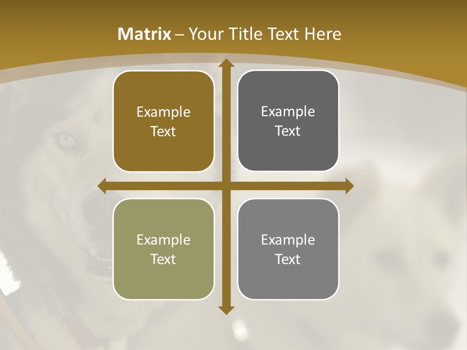 Performance Husky Fur PowerPoint Template