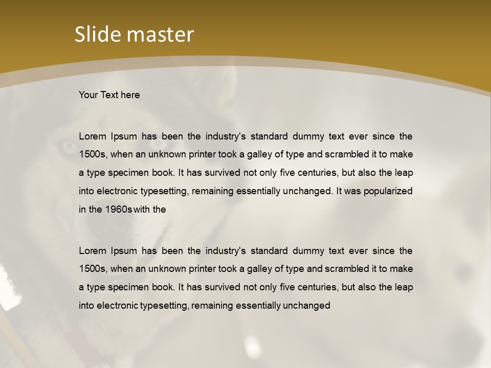 Performance Husky Fur PowerPoint Template