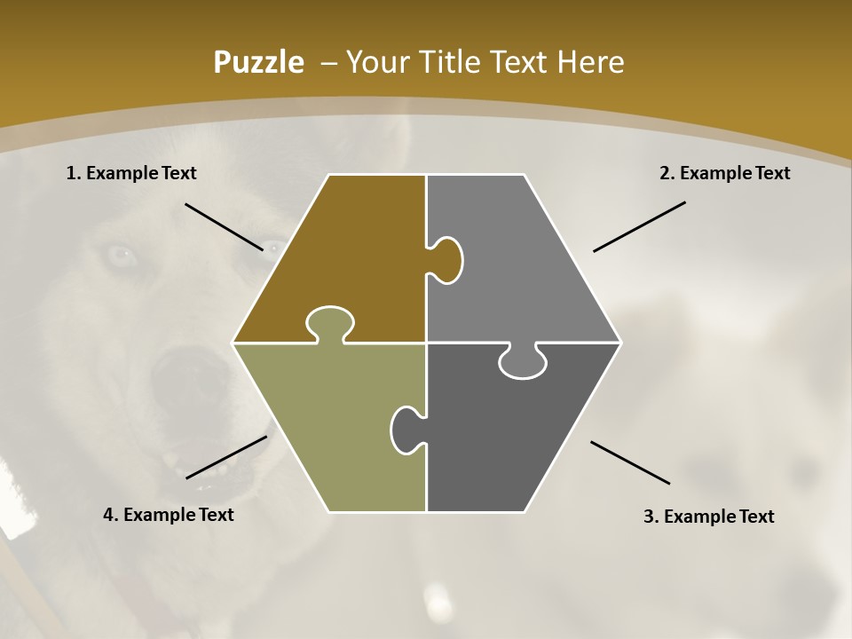 Performance Husky Fur PowerPoint Template