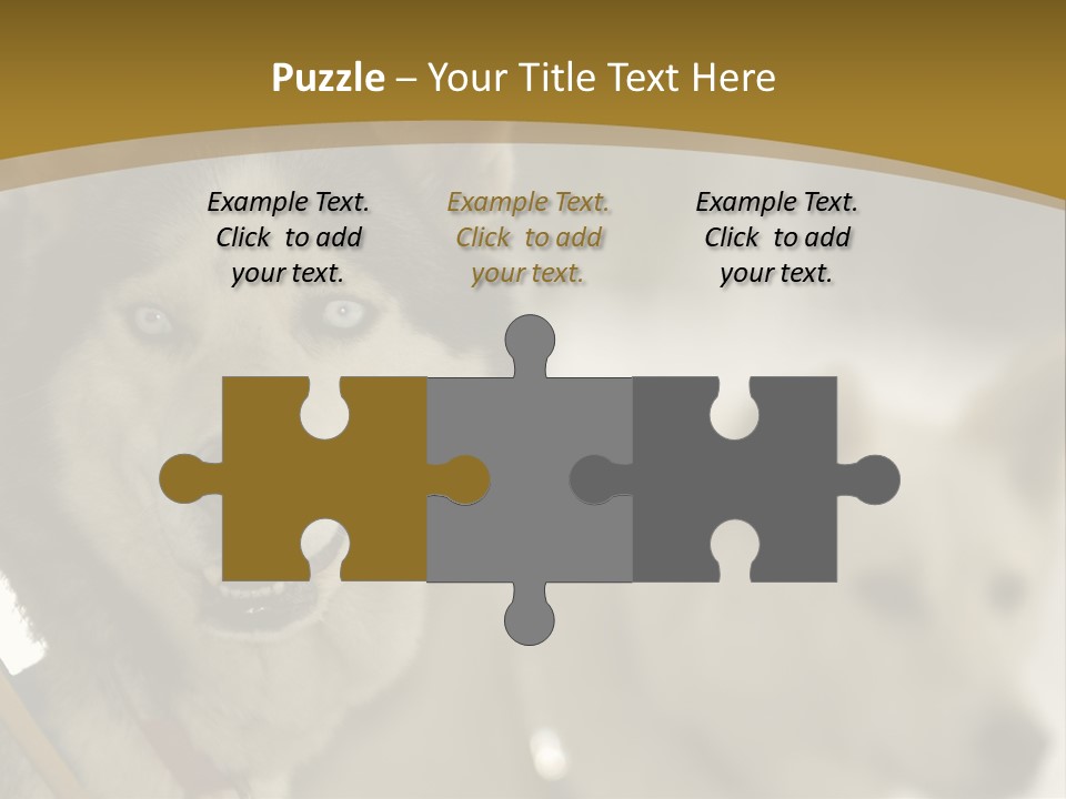 Performance Husky Fur PowerPoint Template