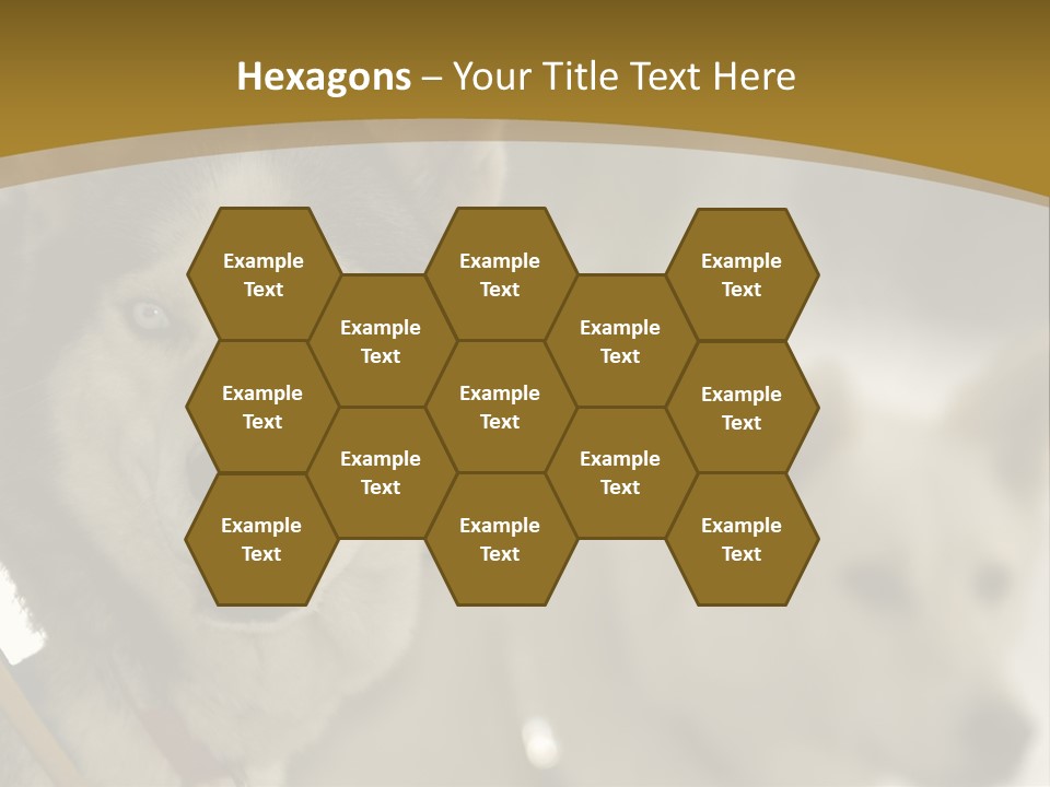 Performance Husky Fur PowerPoint Template