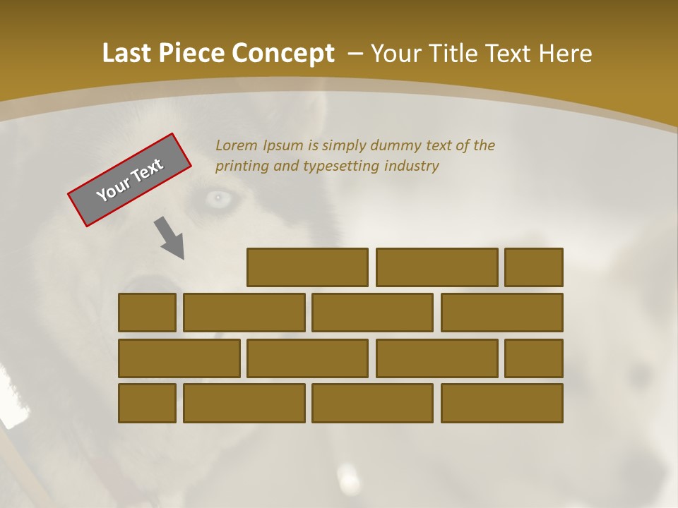 Performance Husky Fur PowerPoint Template