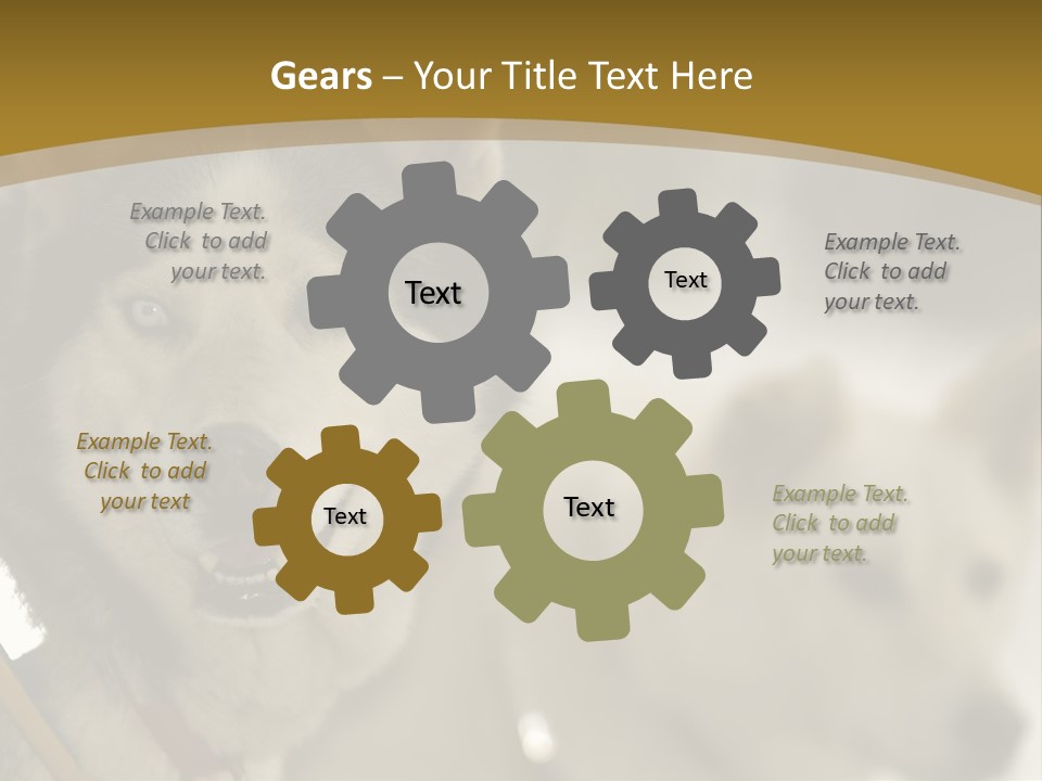 Performance Husky Fur PowerPoint Template