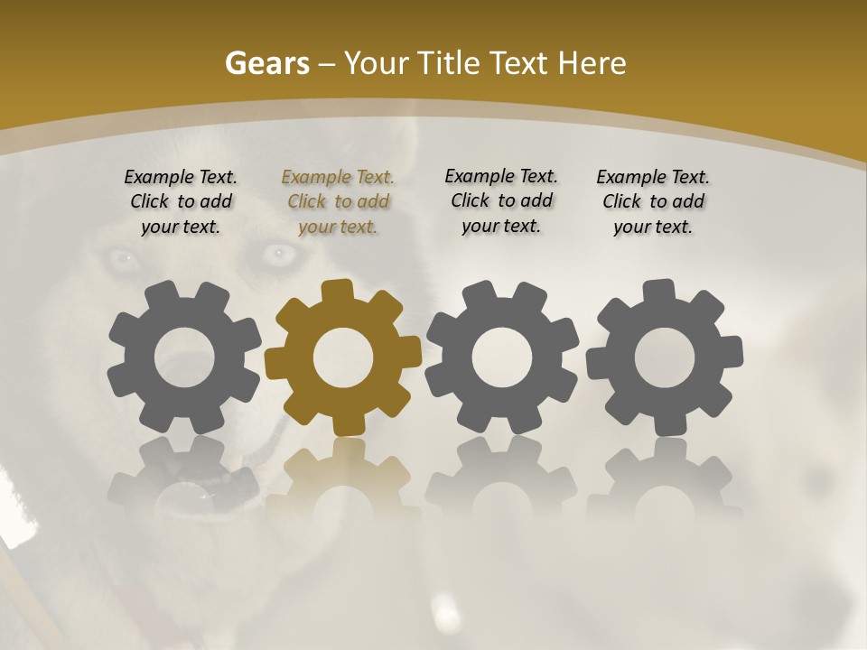 Performance Husky Fur PowerPoint Template