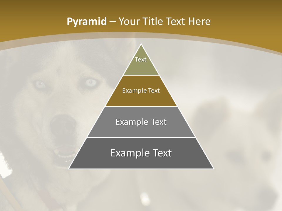 Performance Husky Fur PowerPoint Template