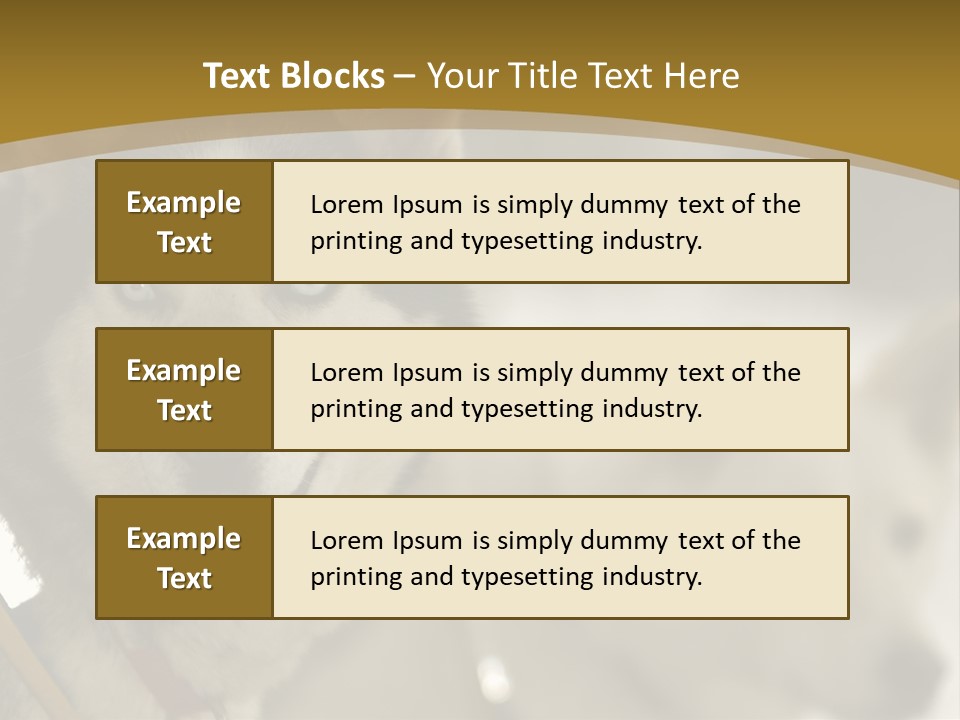 Performance Husky Fur PowerPoint Template