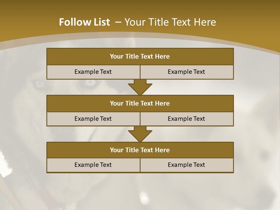 Performance Husky Fur PowerPoint Template
