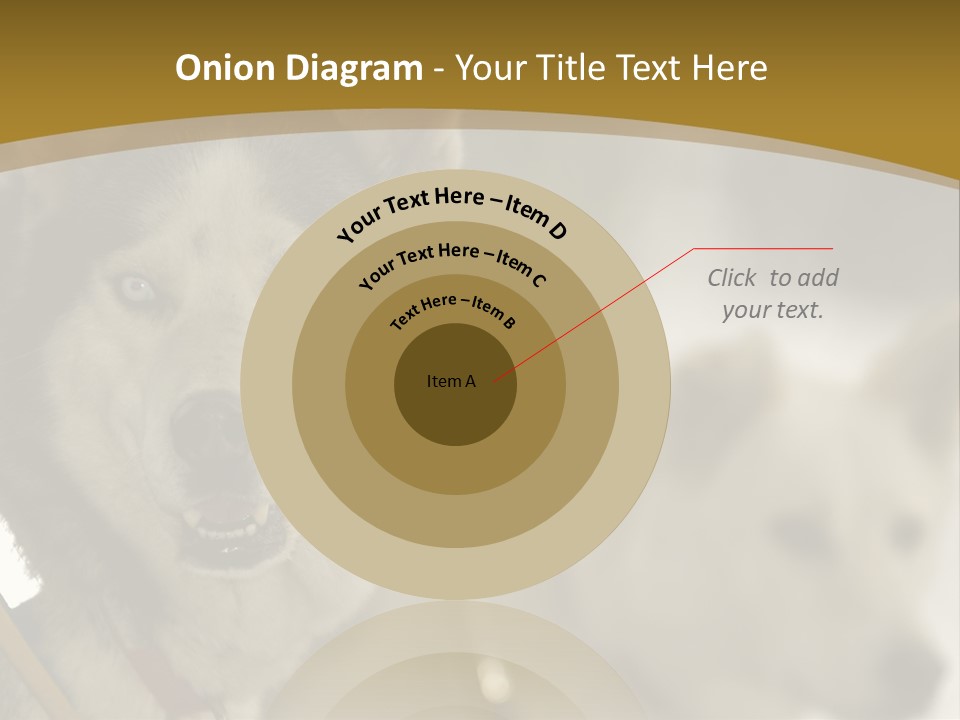 Performance Husky Fur PowerPoint Template