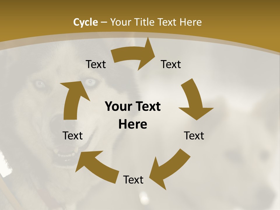 Performance Husky Fur PowerPoint Template