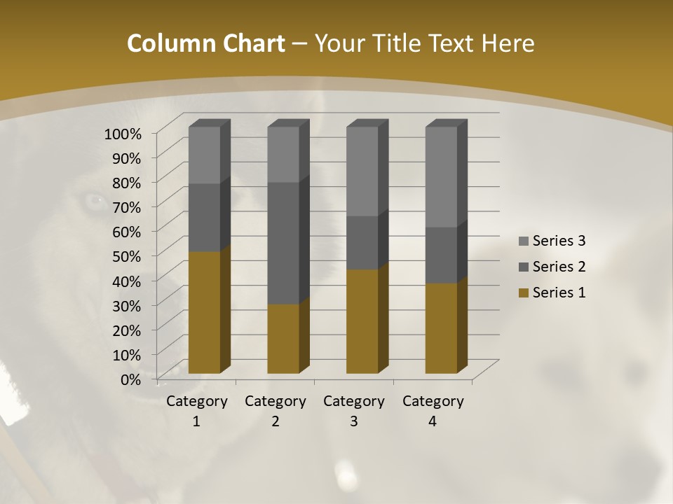 Performance Husky Fur PowerPoint Template