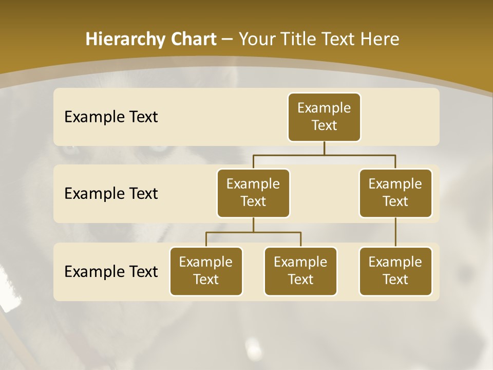 Performance Husky Fur PowerPoint Template