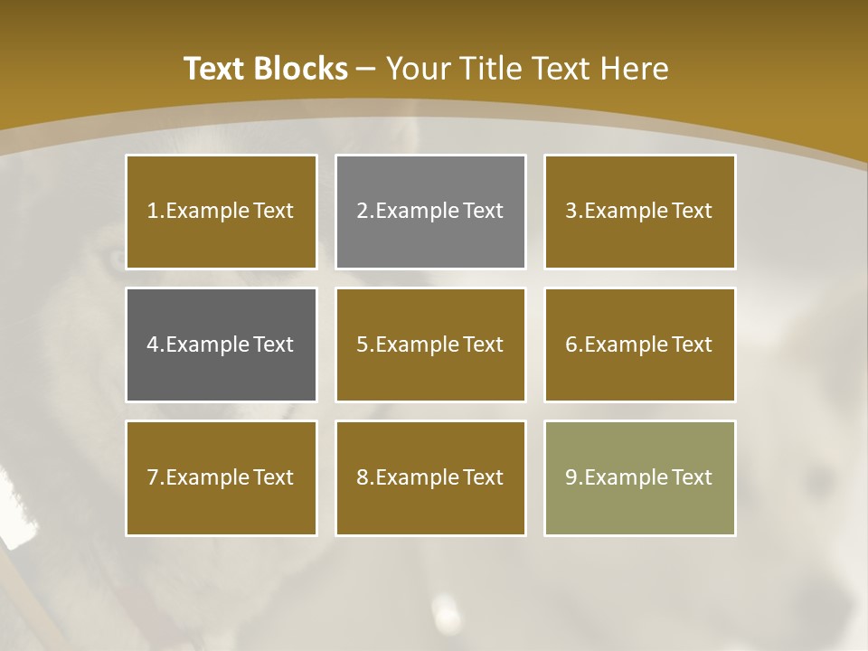 Performance Husky Fur PowerPoint Template