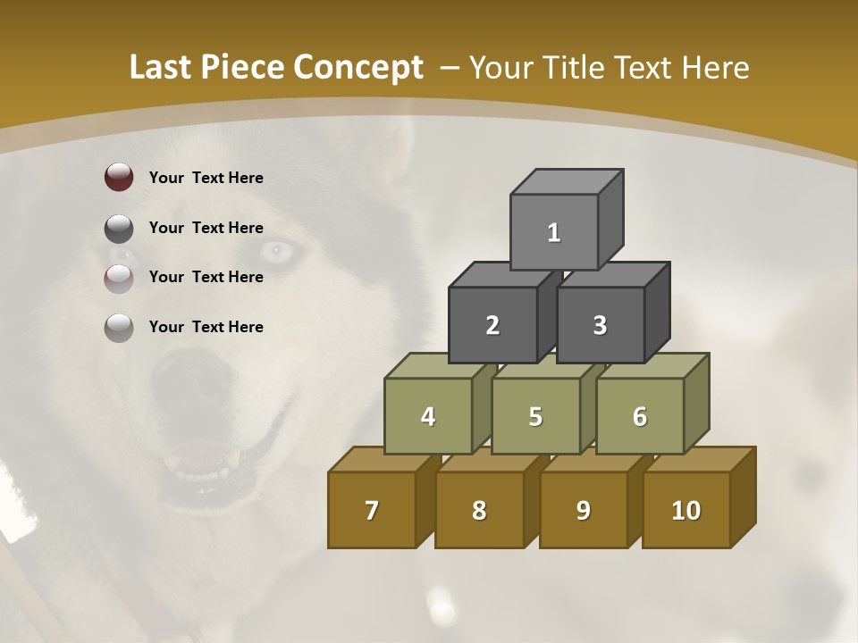 Performance Husky Fur PowerPoint Template