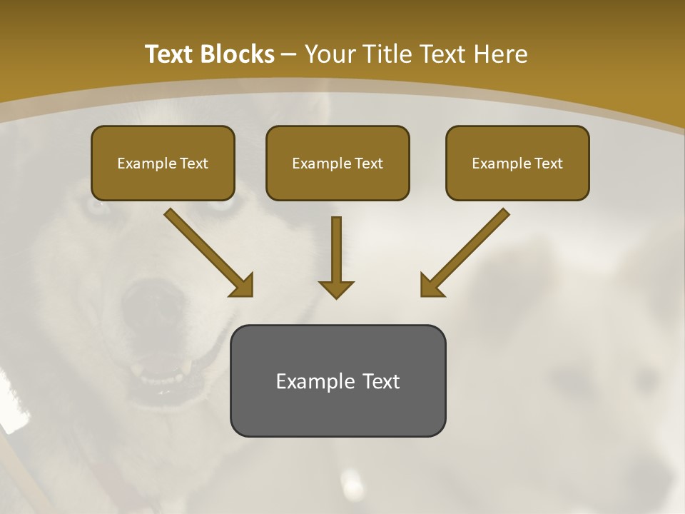 Performance Husky Fur PowerPoint Template