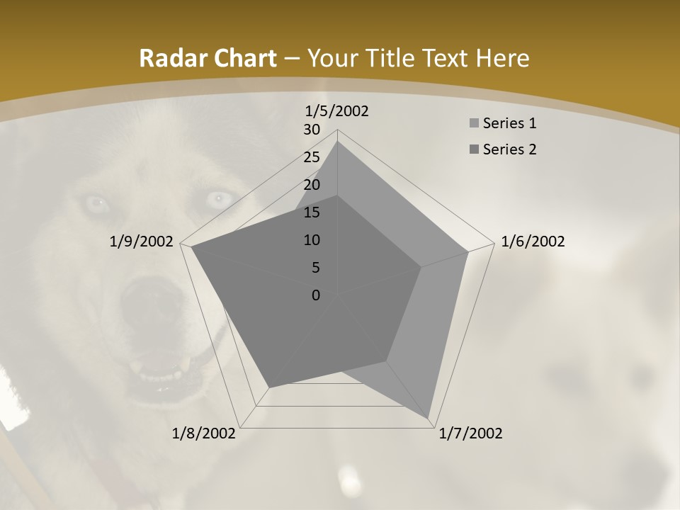 Performance Husky Fur PowerPoint Template