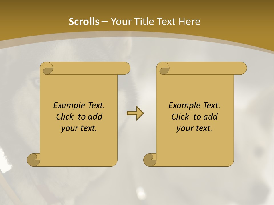 Performance Husky Fur PowerPoint Template