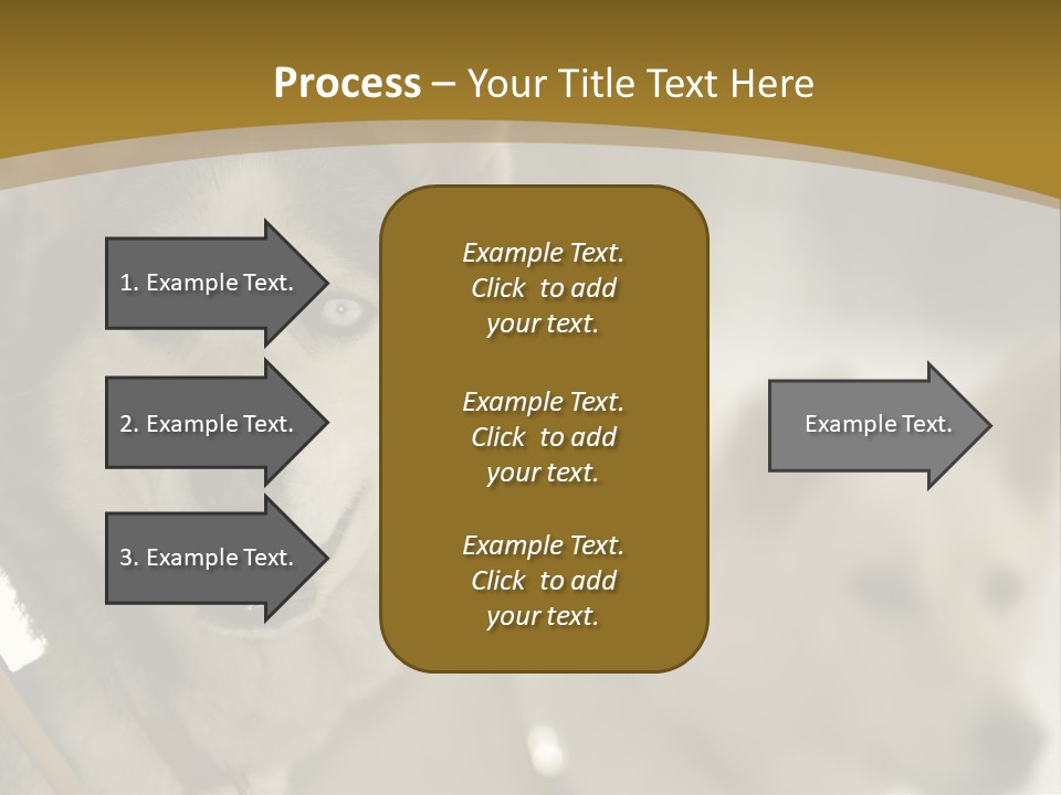 Performance Husky Fur PowerPoint Template