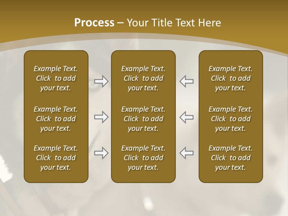 Performance Husky Fur PowerPoint Template