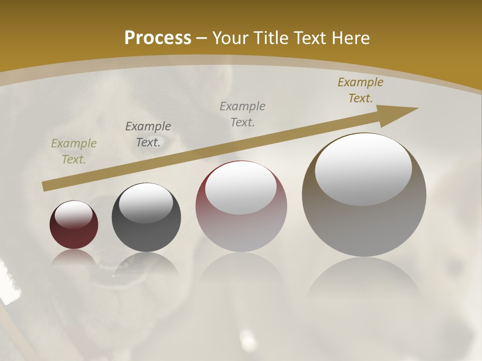 Performance Husky Fur PowerPoint Template