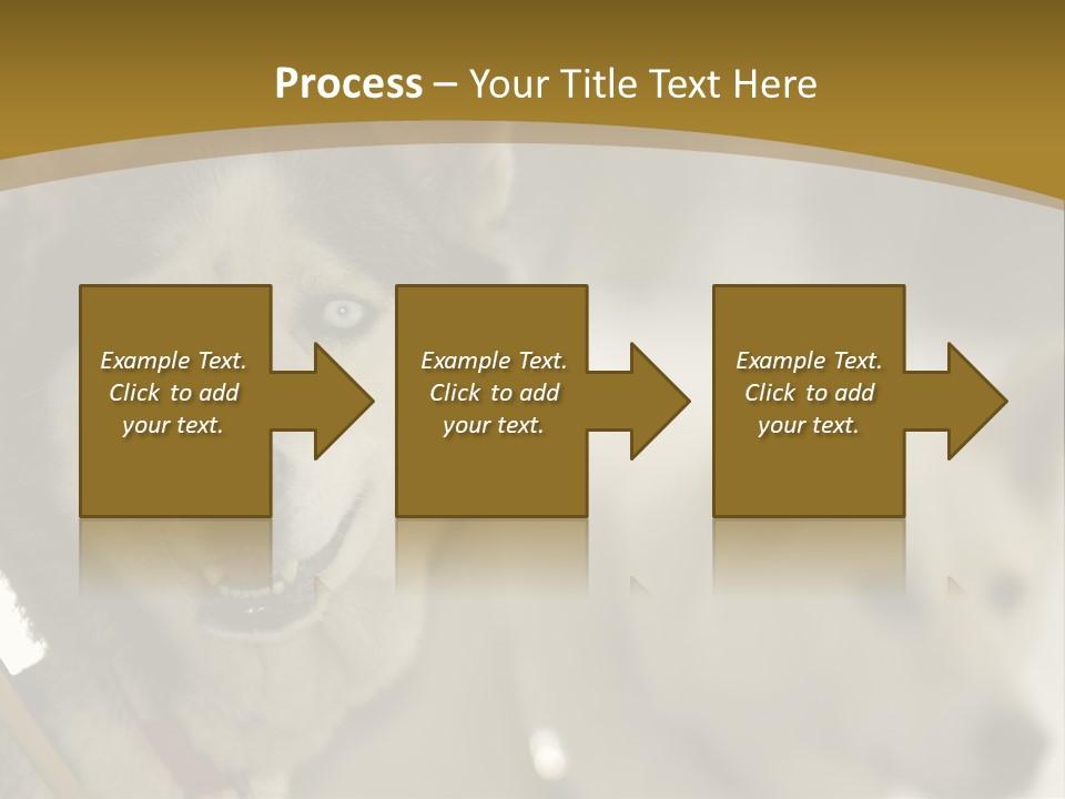 Performance Husky Fur PowerPoint Template