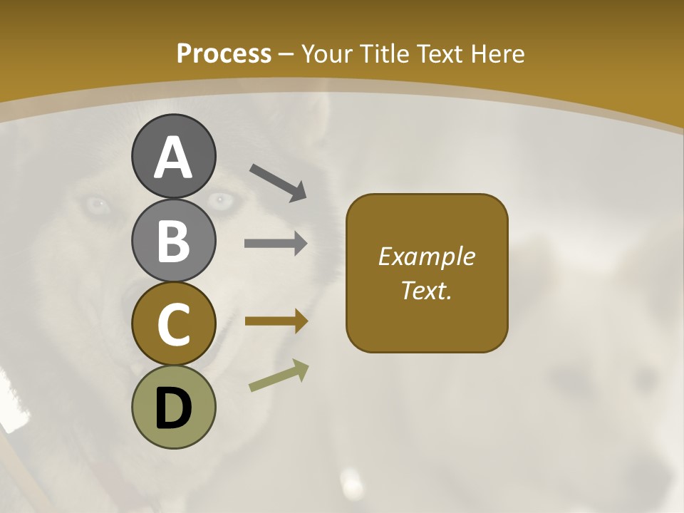 Performance Husky Fur PowerPoint Template