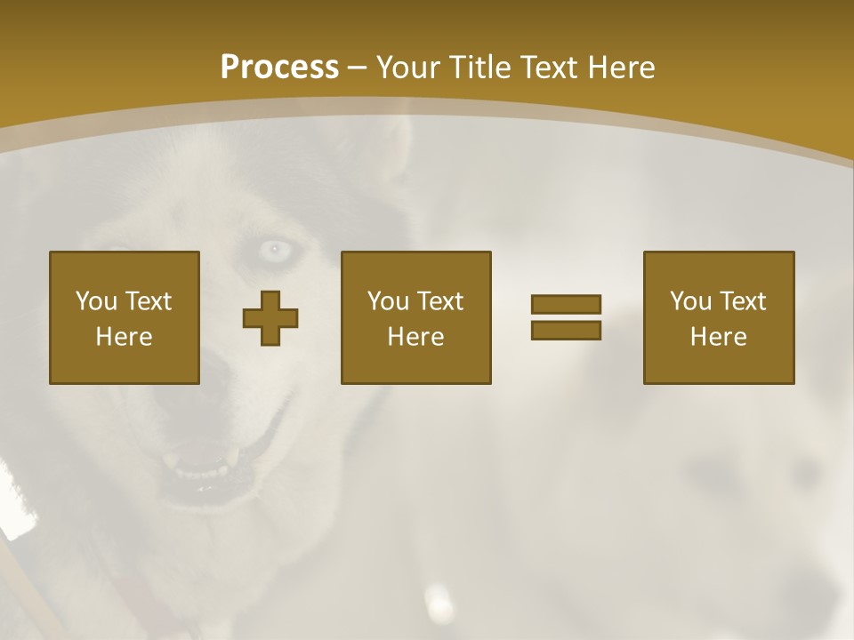 Performance Husky Fur PowerPoint Template