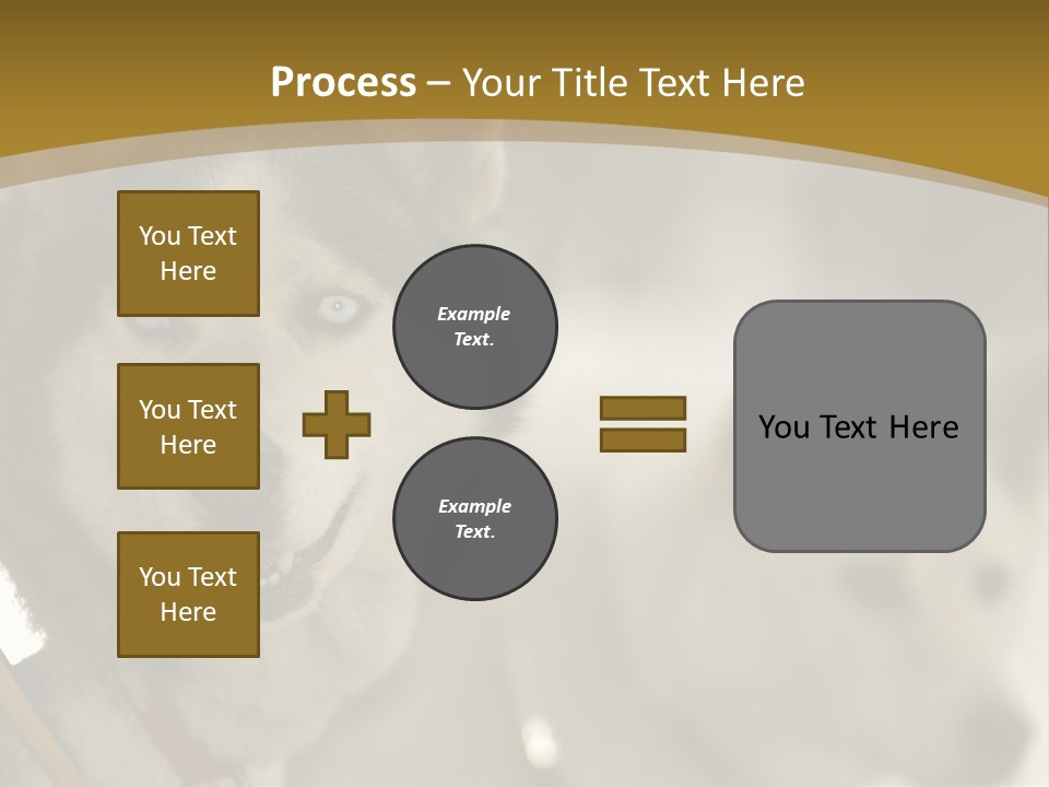 Performance Husky Fur PowerPoint Template