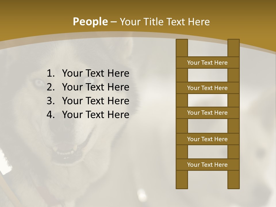 Performance Husky Fur PowerPoint Template