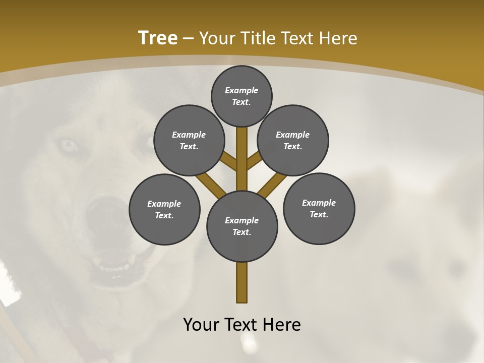 Performance Husky Fur PowerPoint Template