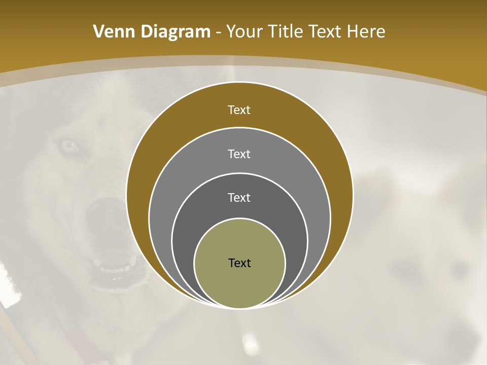 Performance Husky Fur PowerPoint Template