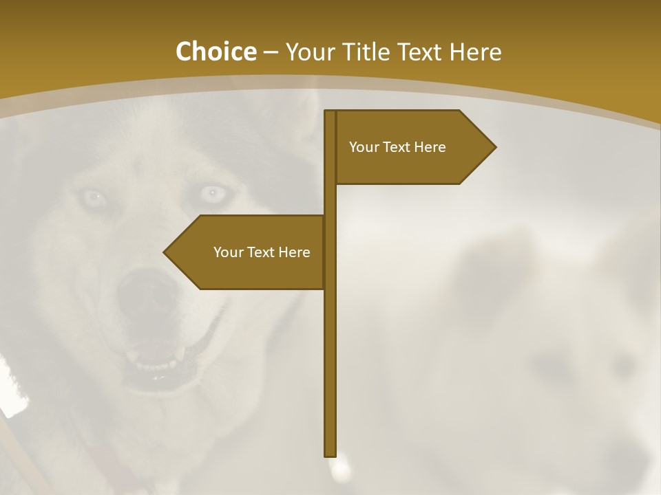 Performance Husky Fur PowerPoint Template