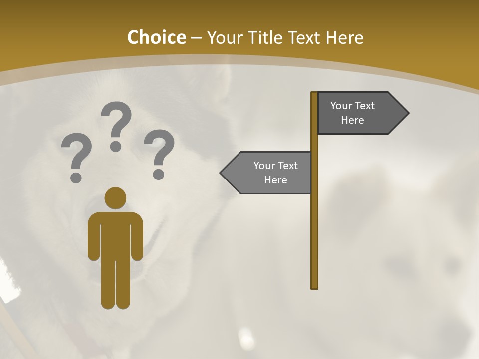 Performance Husky Fur PowerPoint Template