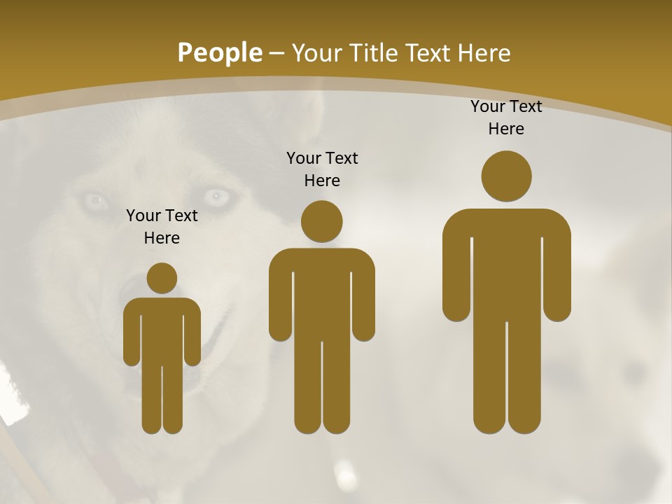 Performance Husky Fur PowerPoint Template